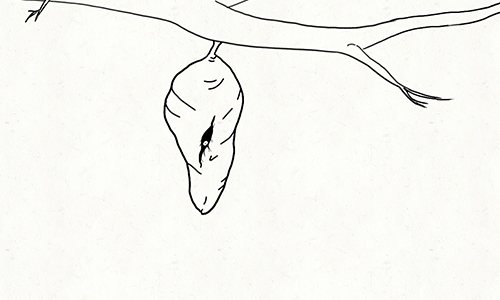 Video 1 preview