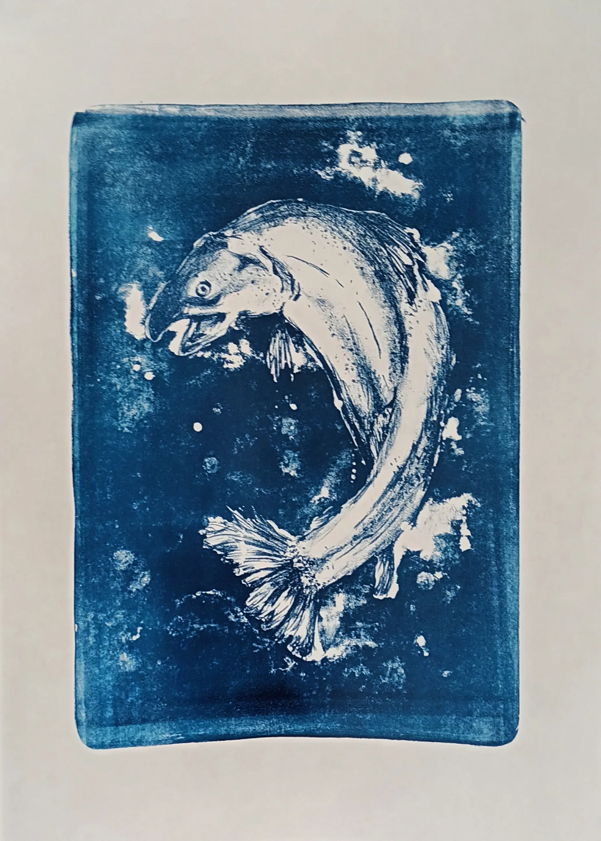 Lithographie fish