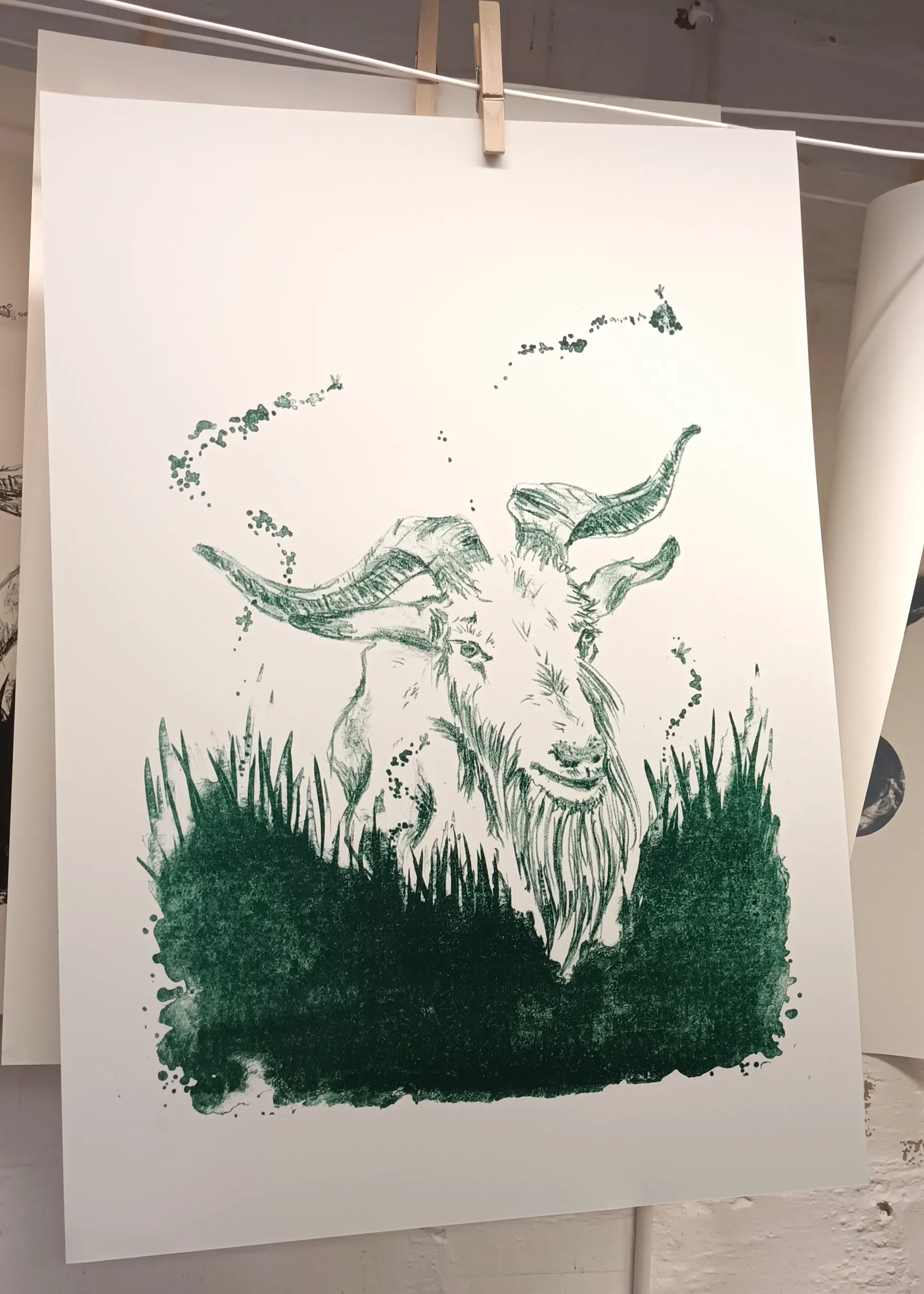 Lithographie goat